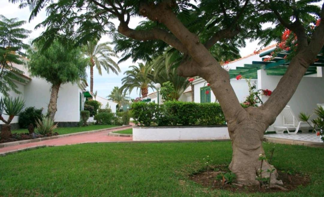 Maspalomas Dunas Golf Zewnętrze zdjęcie